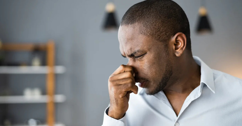 Do Air Purifiers Remove Smells?